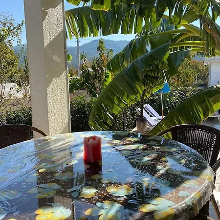 Villa 6 Persoons Met Privezwembad En Boomgaard Kusadasi
