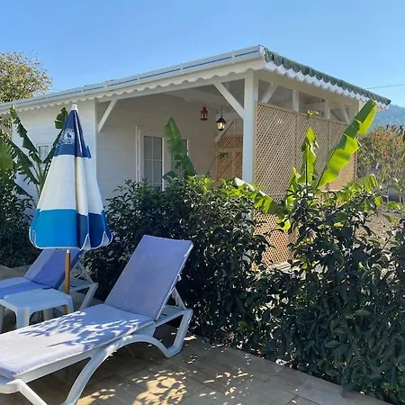 6 Persoons Met Privezwembad En Boomgaard Villa *