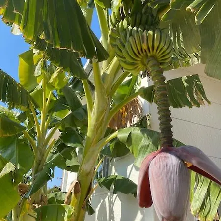 6 Persoons Met Privezwembad En Boomgaard Kusadasi